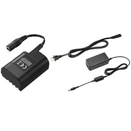 Panasonic DMW-AC10E+DCC12 - BLF19 mains adapter