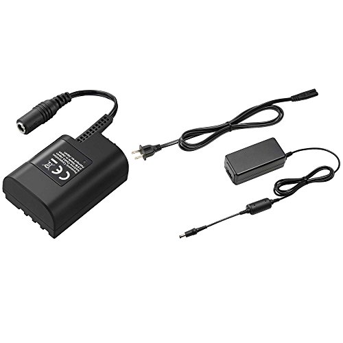 Panasonic DMW-AC10E+DCC12 - BLF19 mains adapter